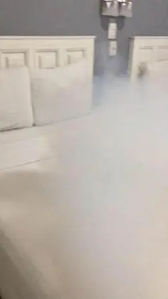 Family Stüdyo Süit, 1 Yatak Odası, Ek Bina