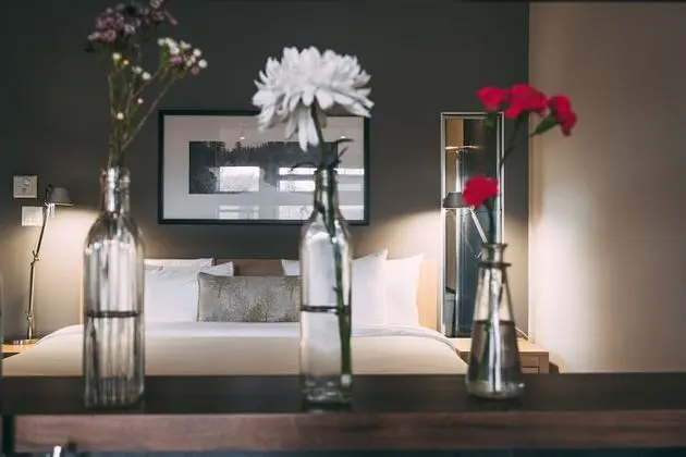 Çatı Katı (Loft), 1 Yatak Odası