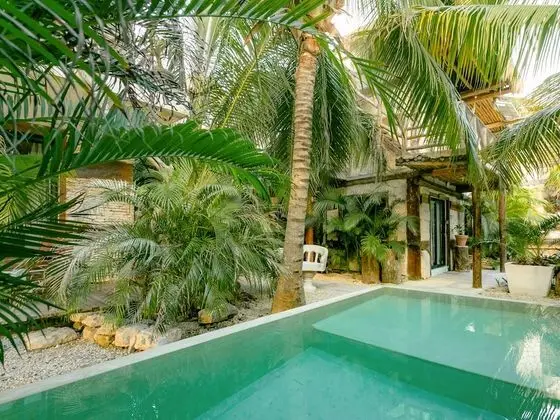 Nº 4 JUNGLE BEACH STUDIO A/C, WI FI, KITCHENETTE, TERRACE