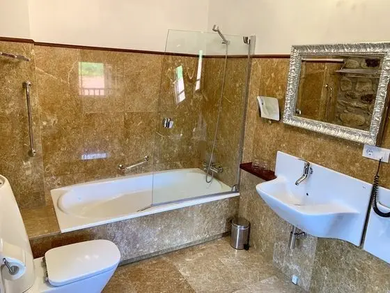 Standard Süit, Engellilere Uygun, Özel Banyo