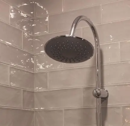 Standard Tek Büyük Yataklı Oda, Engellilere Uygun