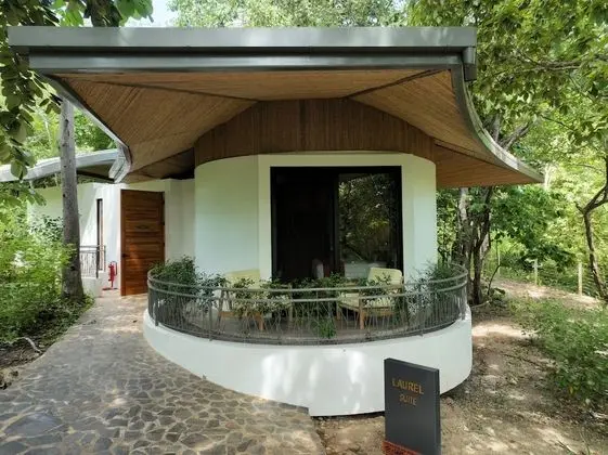 Tropical Forest Groud Suite (law 7600)