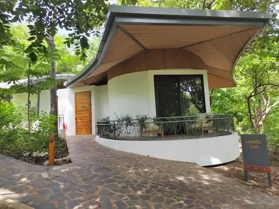 Tropical Forest Groud Suite (law 7600)