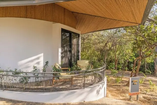 Tropical Forest Groud Suite (law 7600)