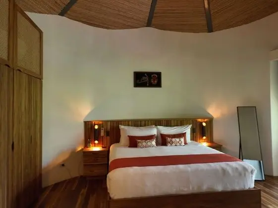 Tropical Forest Groud Suite (law 7600)