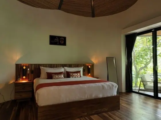 Tropical Forest Groud Suite (law 7600)