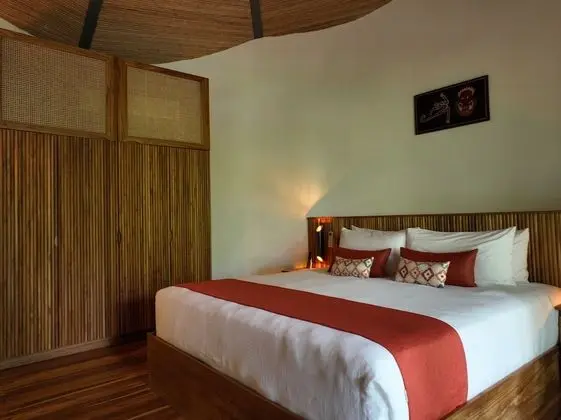 Tropical Forest Groud Suite (law 7600)