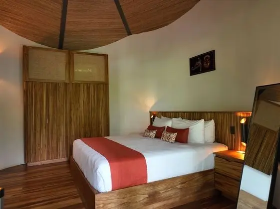 Tropical Forest Groud Suite (law 7600)