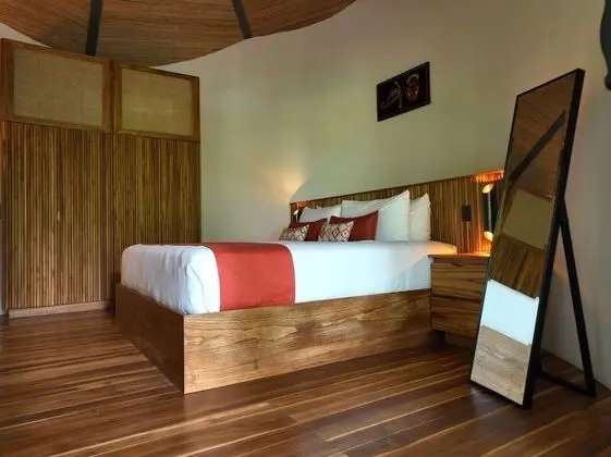 Tropical Forest Groud Suite (law 7600)