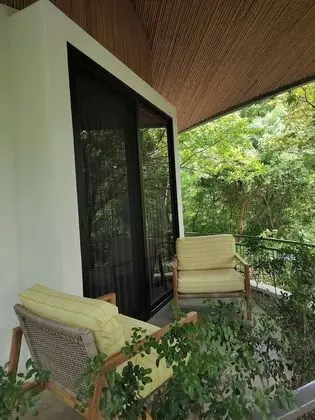 Tropical Forest Groud Suite (law 7600)