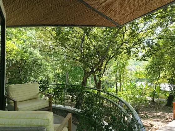 Tropical Forest Groud Suite (law 7600)