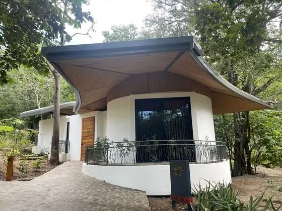 Tropical Forest Groud Suite (law 7600)