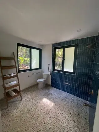 Tropical Forest Groud Suite (law 7600)