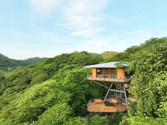 Tropical Forest View Master