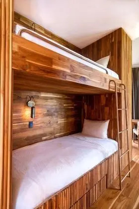 Tropical Forest View Master