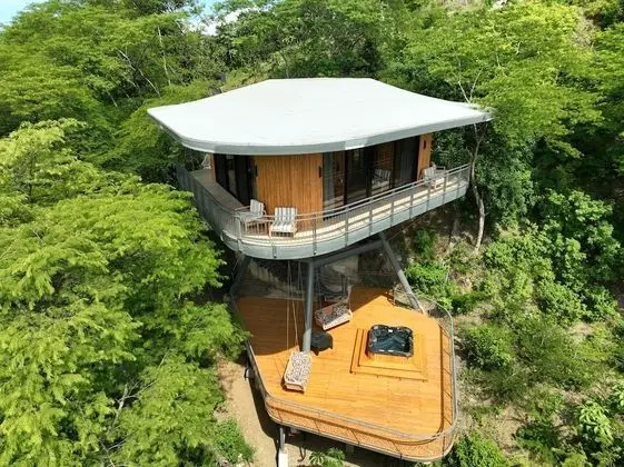 Tropical Forest View Master