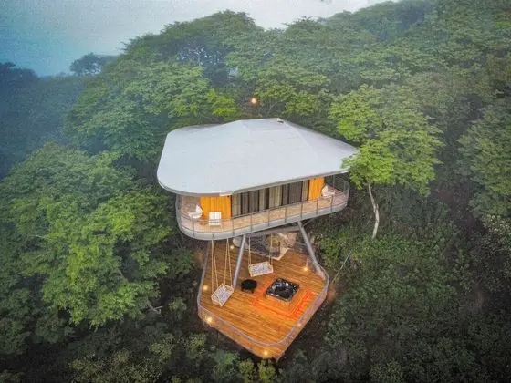 Tropical Forest View Master