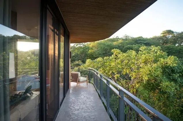 Tropical Forest View Master