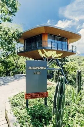 Tropical Forest View Suite