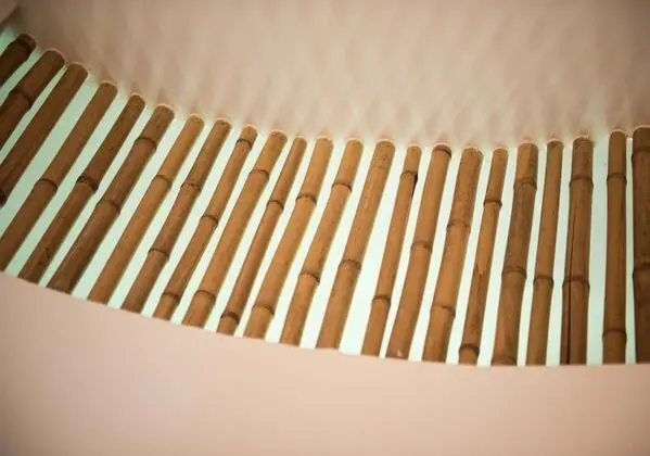 Tropical Forest View Suite