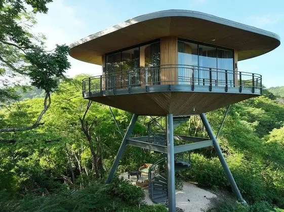 Tropical Forest View Suite