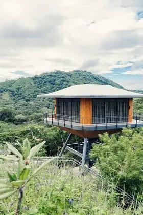 Tropical Forest View Suite