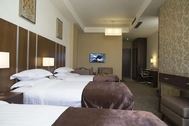 Deluxe Tek Büyük veya İki Ayrı Yataklı Oda