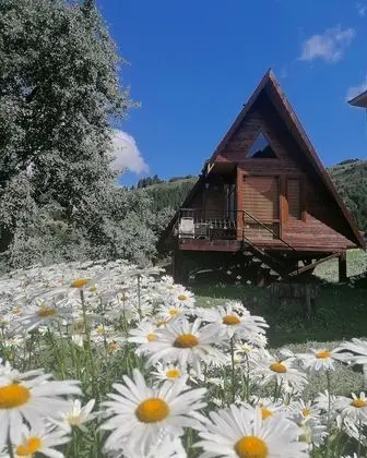Deluxe Dağ Evi