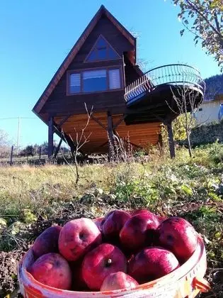 Deluxe Dağ Evi