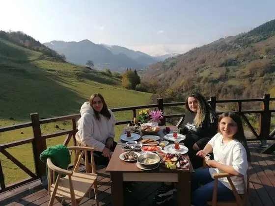 Lüks dağ evi