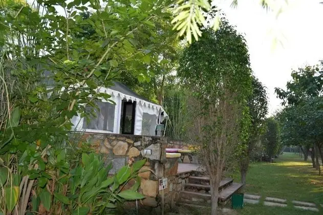 Traditional Çadır