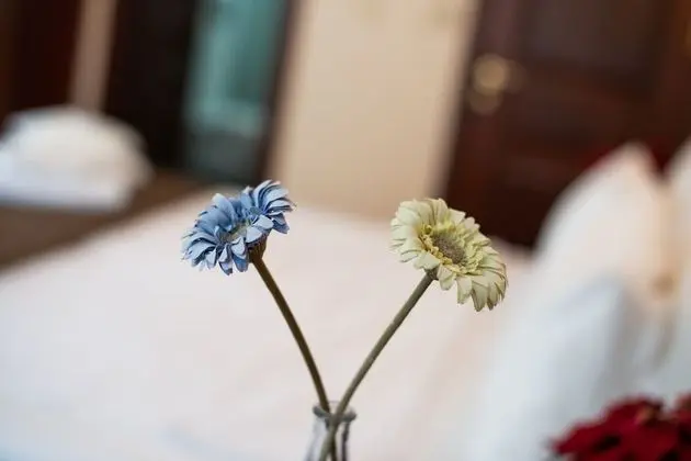 Family Oda
