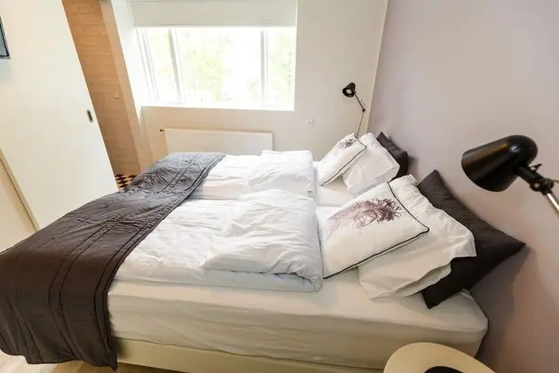 Deluxe Tek Büyük veya İki Ayrı Yataklı Oda, Özel Banyo