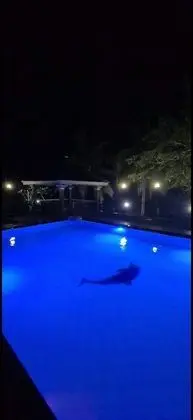 Oda, 1 Yatak Odası, Engellilere Uygun, Teras