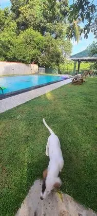 Oda, 1 Yatak Odası, Engellilere Uygun, Teras