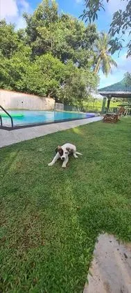 Oda, 1 Yatak Odası, Engellilere Uygun, Teras