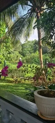 Oda, 1 Yatak Odası, Engellilere Uygun, Teras