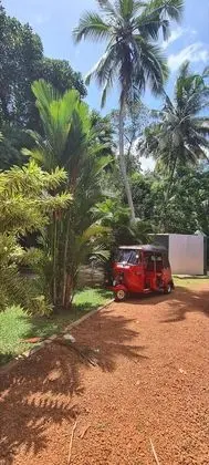 Oda, 1 Yatak Odası, Engellilere Uygun, Teras