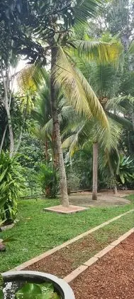 Oda, 1 Yatak Odası, Engellilere Uygun, Teras