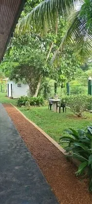 Oda, 1 Yatak Odası, Engellilere Uygun, Teras