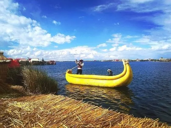 Oda, 1 Yatak Odası, Veranda