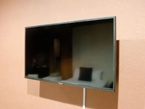 Traditional İki Ayrı Yataklı Oda, Özel Banyo (Japanese Style)