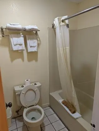 2 Double Beds, Non Smoking