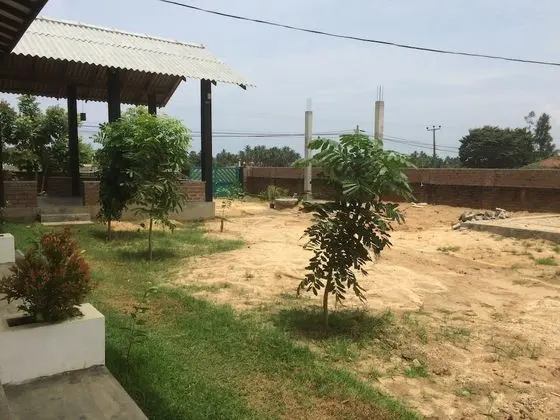 Deluxe Üç Kişilik Oda, Bahçe Manzaralı