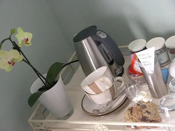Standard Tek Büyük Yataklı Oda, 1 En Büyük (King) Boy Yatak, Sigara İçilmez, Tepe Manzaralı