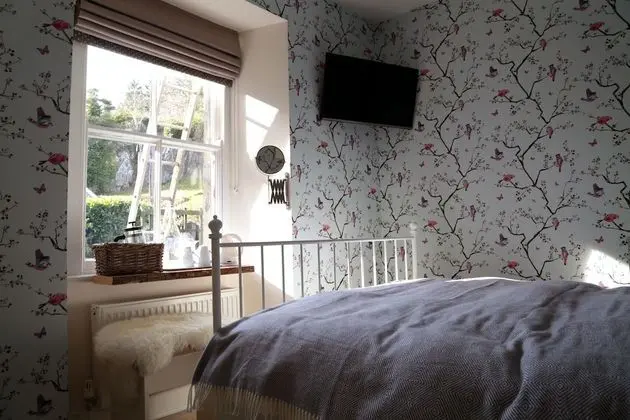 Tek Büyük Yataklı Oda, Tepe Manzaralı (Room 3 Crib Goch)