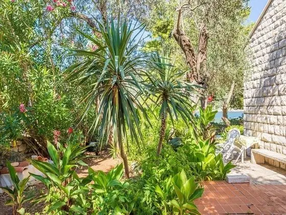 Ev (Three Bedroom Holiday House with Terr)