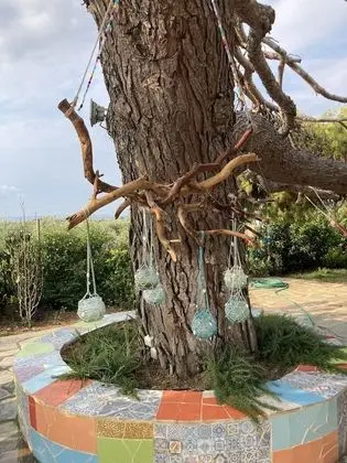 Ev, Birden Çok Yatak