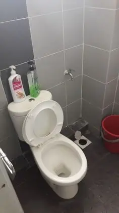 Basic Stüdyo