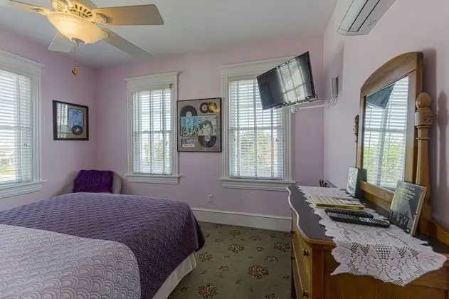 Standard Tek Büyük Yataklı Oda, Banyolu/Duşlu (50's Music Room)